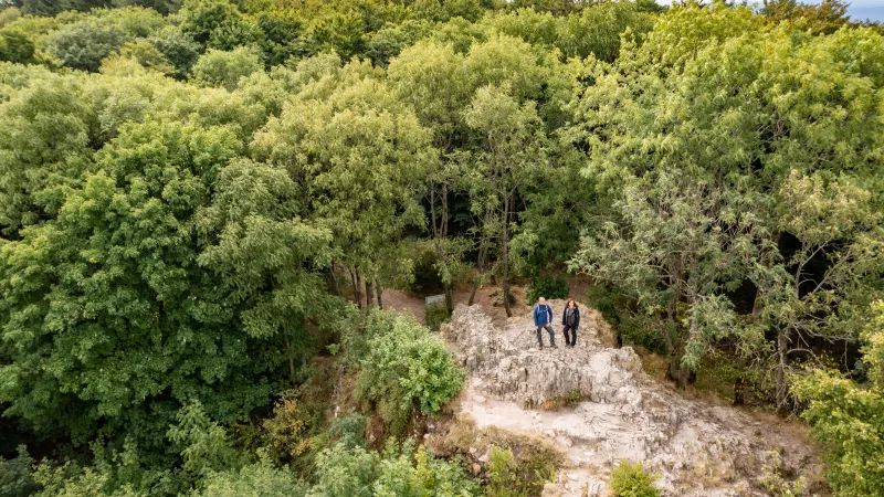 Pfälzer Höhenweg - Wanderer am Königsstuhl