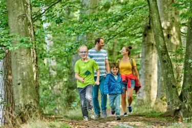 Eine Familie wandert fröhlich im Wald. Die Kinder lachen und genießen die Natur.