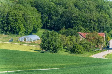 Eine idyllische Landschaft mit grünen Feldern und Bäumen. Im Vordergrund sind ein Gewächshaus und ein Haus zu sehen.