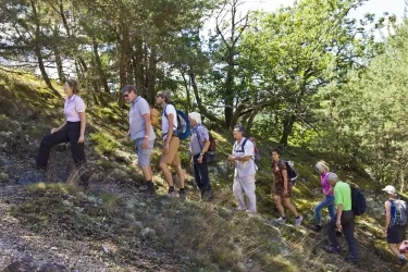 Geo Tour Imsbach (© Donnersberg-Touristik-Verband)