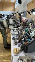 Zwei Männer betrachten eine Auswahl von Mineralien und Steinen auf einem Tisch. Der Raum ist gut beleuchtet und es sind weitere Besucher im Hintergrund zu sehen.