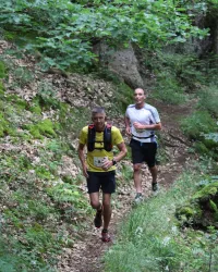 Zwei Läufer auf einem Waldweg. Die Umgebung ist grün mit Bäumen und Blattwerk.