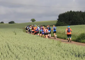 Eine Gruppe von Läufern auf einem Feldweg umgeben von grünen Äckern. Der Himmel ist bewölkt, und die Läufer tragen bunte Laufkleidung.