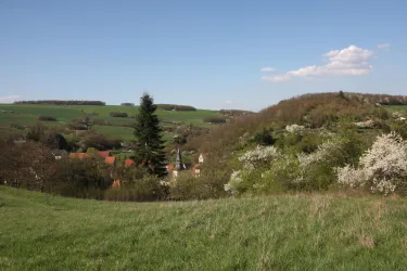 Landschaft in der Nordpfalz bei Schiersfeld