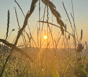Konzert mit meditativer Musik (© Marion von Gienanth)