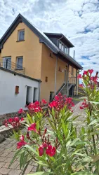 Blumen vor dem Haus (© Wiebke Füge)