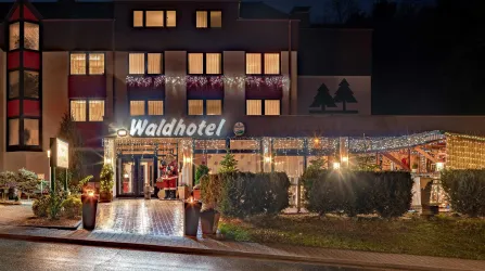 Winter im Waldhotel (© Waldhotel Eisenberg)