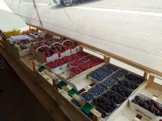 Beeren vom Erdbeerland (© Erdbeerland Funck)