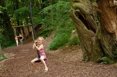 Abenteuerspielplatz (© Donnersberg-Touristik-Verband)