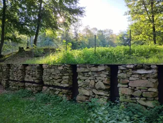 Restaurierte Mauer im Zwischenwall (© Donnersberg-Touristik-Verband e.V.)