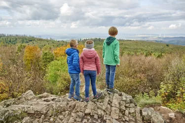 Königsstuhl-Aussicht (© Donnersberg-Touristik-Verband e.V.,Florian Trykowi)