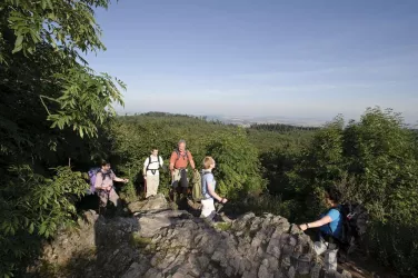 Blick vom Königsstuhl (© Donnersberg-Touristik-Verband e.V.)