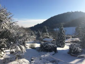 Schnee (© Stollhof Hotel-Restaurant GmbH)