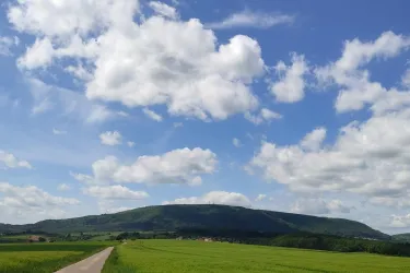 Eine weitläufige grüne Landschaft mit einem Hügel im Hintergrund. Der Himmel ist blau und mit weißen Wolken bedeckt.
