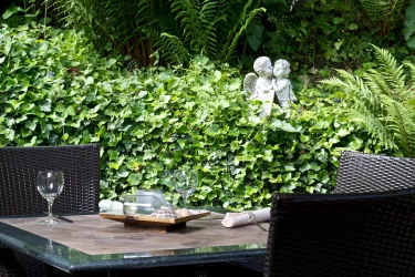 Außenbereich (© Hotel-Restaurant Landhotel Berg)