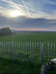 Morgenstimmung am Spreiterhof