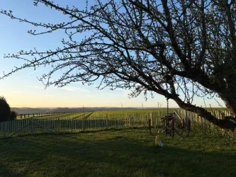 Panoramablick vom Garten in die Weite der Natur