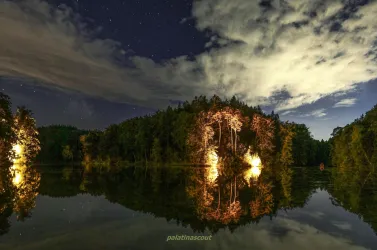 Sternenstumpfwald (© Palatinascout Volker Schledorn)