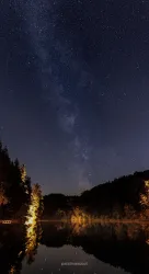 Ein klarer Nachthimmel mit vielen funkelnden Sternen und der Milchstraße. Der ruhige See reflektiert das Licht der Sterne und der umgebenden Bäume.