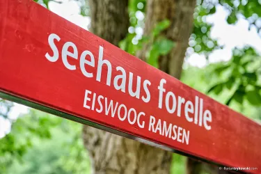 Ein rotes Schild mit der Aufschrift "Seehaus Forelle" steht zwischen Bäumen. Darunter ist "Eiswoog Ramsen" zu lesen.