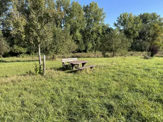 Picknickmöglichkeit direkt an der Weide
