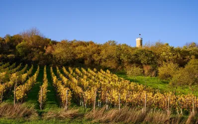 Wartturm im Herbst (© Donnersberg-Touristik-Verband e.V., Florian Orth)
