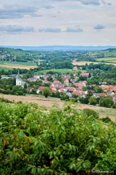 Blick auf Albisheim