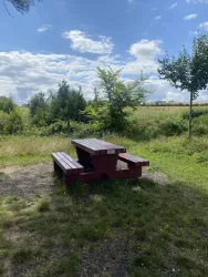 Ein roter Picknicktisch steht in einer grünen Wiese. Im Hintergrund sind Bäume und ein blauer Himmel mit einigen Wolken zu sehen.