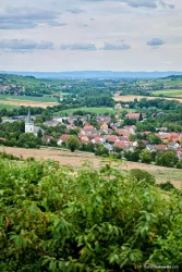 Blick auf Albisheim