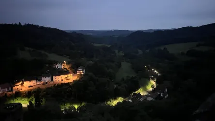 Blick vonn der Burgruine Falkenstein