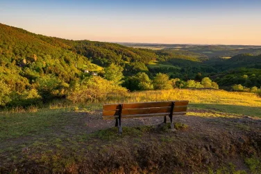 Eine Bank steht auf einem Hügel mit Blick auf eine grüne Tal- und Waldlandschaft. Der Himmel zeigt sanfte Farben des Sonnenuntergangs.