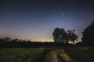 Eine ruhige Landschaft bei Nacht mit einem klaren Himmel voller Sterne. Ein Lichtschein zeigt eine Sternschnuppe über einem schmalen Weg und Bäumen.