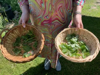 Eine Person hält zwei Korb mit frischen Kräutern. Der linke Korb enthält grüne Blätter, während der rechte Korb mit Erdbeerblättern gefüllt ist.