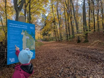 Ein Kind steht vor einem Informationsschild im Wald und zeigt darauf. Der Weg ist von buntem Laub umgeben, und die Bäume haben herbstliche Farben.