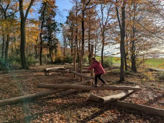Ein Kind spielt auf einem Balancierparcours im Wald. Die Bäume sind bunt, und der Boden ist mit Herbstlaub bedeckt.