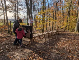 Ein Mann und ein Kind stehen an einem Holzspielplatz im Wald. Um sie herum sind herbstliche Bäume mit buntem Laub.