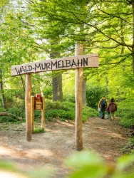 Ein Schild mit der Aufschrift "Wald-Murmeltierbahn" steht im Wald. Im Hintergrund sind Menschen zu sehen, die auf einem Weg gehen.
