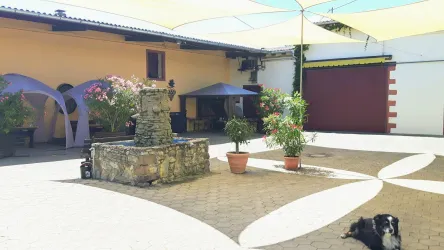 Hof des Weinguts Martinspforte (© Weingut Martinspforte)