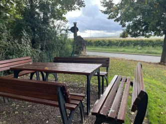Blick in die Weinreben