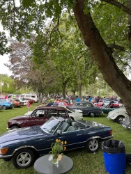 Stein trifft Classic 2023 Autos (© VG Nordpfälzer Land)