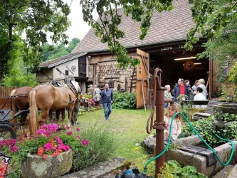 Leos Tenne Garten