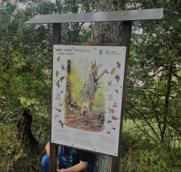 Naturlehrpfad Infotafel