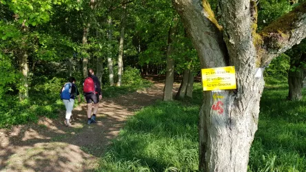 Wandermarathon 2018 (© Jörg Thamer)