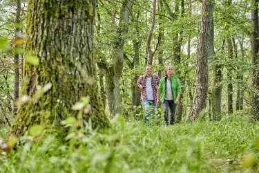 Wandern am Donnersberg (© Florian Trykowski)