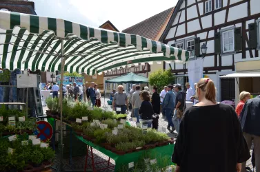 Foto Feinschmeckermarkt 2