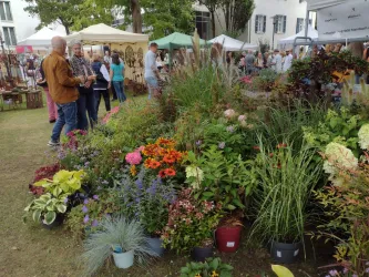 Ein lebhafter Markt mit bunten Blumen und Pflanzen in Töpfen. Menschen schlendern zwischen den Ständen und genießen die Atmosphäre.
