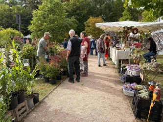 Ein lebhafter Markt mit verschiedenen Pflanzen und Ständen. Menschen stöbern zwischen den Angeboten und genießen die frische Luft.