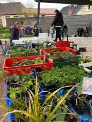 Ein Marktplatz mit verschiedenen Pflanzen in bunten Kisten. Menschen stehen um die Pflanzen und schauen sich um.