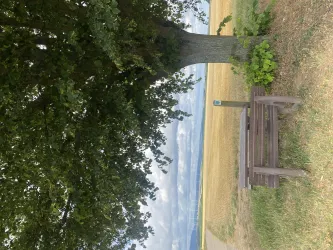 Picknickbank am Zellertalweg