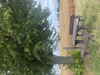Picknickbank am Zellertalweg